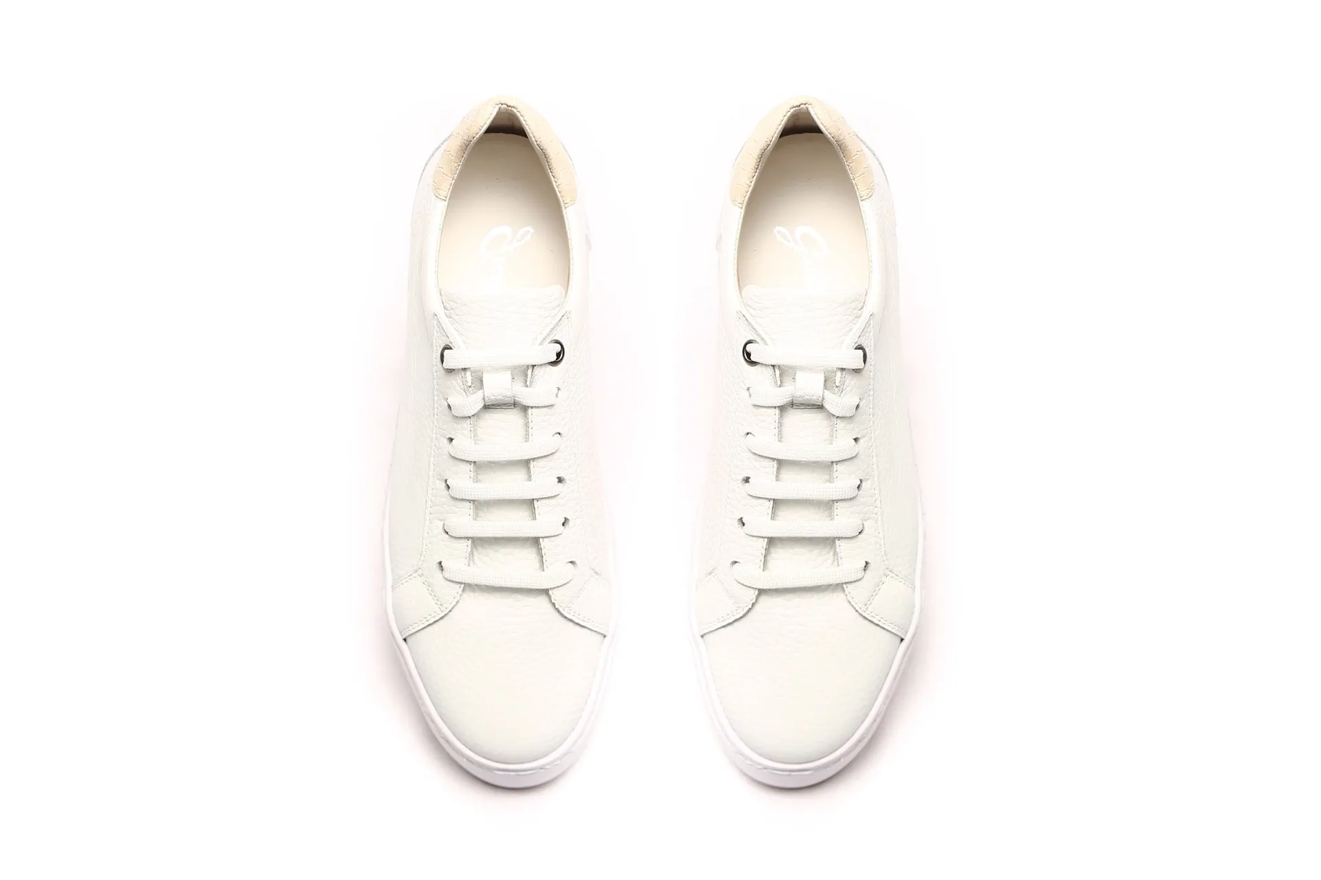 Urban White