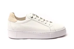 Urban White